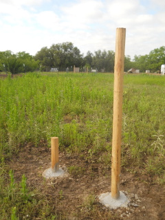 Again More Fence Posts Concreted In