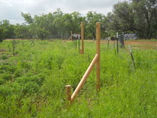 Fence T-posts in Place