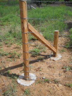 Starting Net Wire Wrapped at Fence End Post