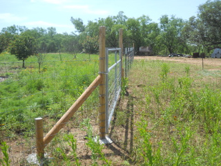 Looking Down the Gate & Fence Line
