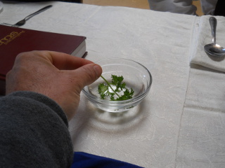 Passover 2013 Dipping the Herbs