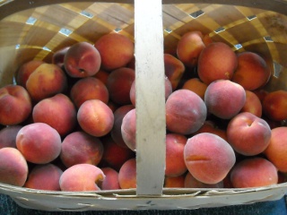Harvested Peaches in Basket