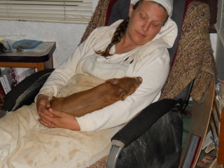 Pebbles the Duroc Gilt Resting on Sue