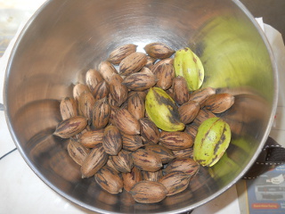 2014 Pecans Haul