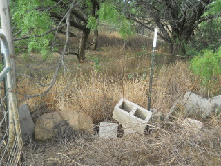 Old Dilapidated Fencing