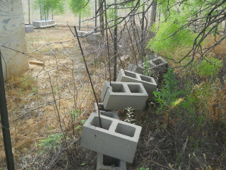 More Old Dilapidated Fencing