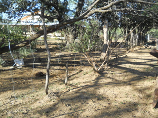 Barbed-Wire Fence Turned into a New-Wire Fence Larger Section