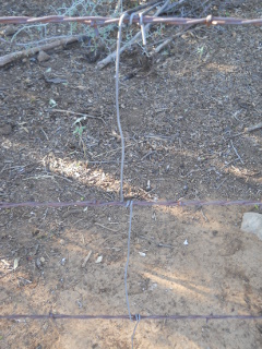 Barbed Wire Wire Stay Close Up