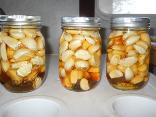 Preserving Garlic - Garlic Cloves in Apple Cider Vinegar