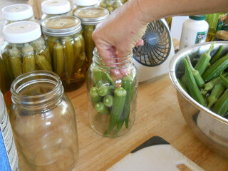 Putting Whole Okra in Jars