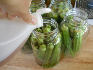 Pouring Apple Cider Vinegar into Jars of Okra