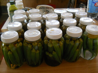 Jars of Preserved Okra