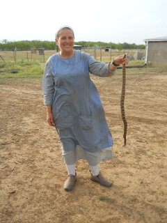 Sue Carrying the Rattlesnake
