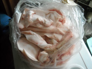 Bag of Pig Fat