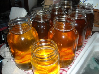 Melted Pig Lard in Jars Ready to be Pressure Canned