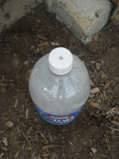 2 Liter Water Squirt Bottle