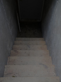 Root Cellar Steps