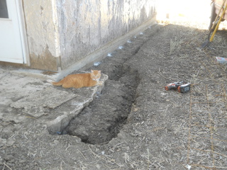 Dug Out Root Cellar North Footer