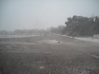 2009 Texas Snow Flurries