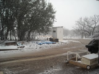 2009 Texas Snow Flurries