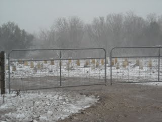 2009 Texas Snow Flurries