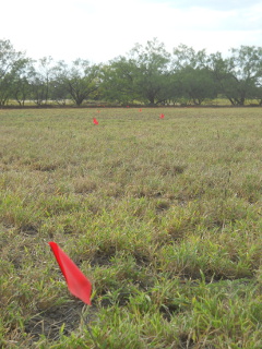 Flags for Planning Field Swales