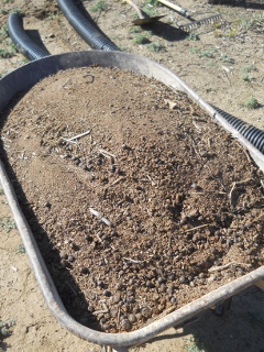 Goat Area Compost in Wheel Barrow