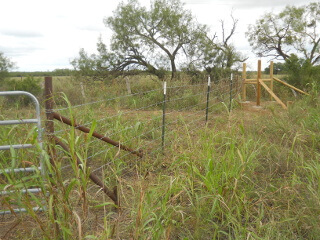 North Field Gateway Diagonal Fence 1