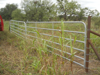 North Field Gateway Gates