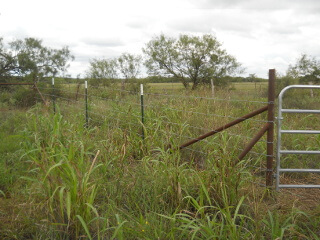 North Field Gateway Diagonal Fence 2