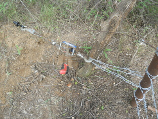 Using Come-Along to Stretch Barbed Wire Fence