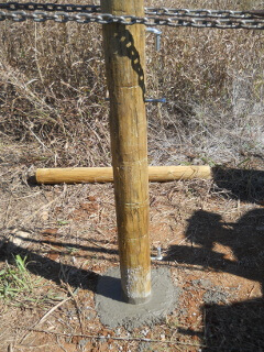 Fence Post Re-Concreted