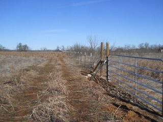 North Field Top Half of Fence Line