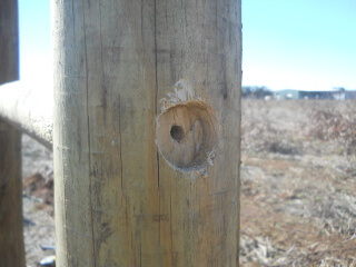Fence Post System Cross Piece Hole