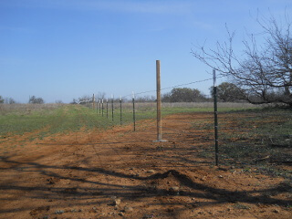 More Pulled Barbed Wire