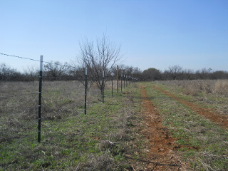 Again More Pulled Barbed Wire