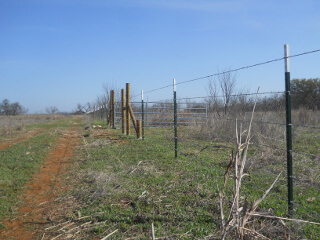 Still More Pulled Barbed Wire