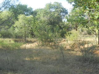 More of New Pond Digging Area