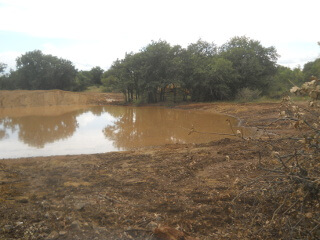 More of New Tank After Big Rains