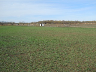 More Wheat 2012 Dec 17