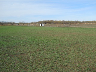 More Wheat 2012 Dec 17