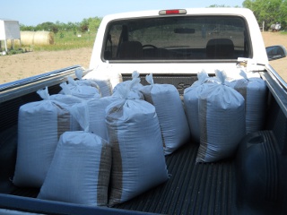 2012 Wheat Crop in Sacks