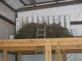 Again, Wheat Sheaves in Barn Loft