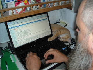 William the Tabby Cat Laying Next to the Computer While I'm Working On It