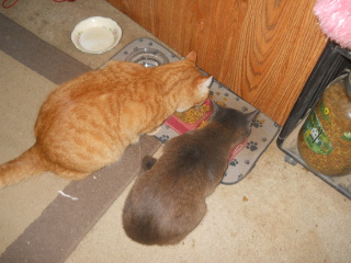 William & Mimi Eating Together