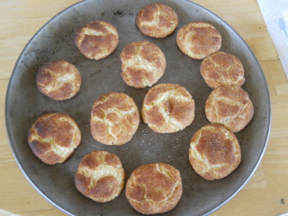 First Plate of Wood Burning Stove Oven-Cooked Cookies