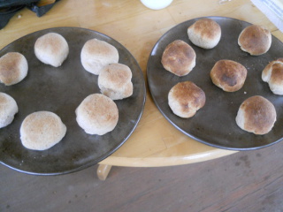 First Two Batches of Biscuits Cooked in Wood Burning Stove Oven